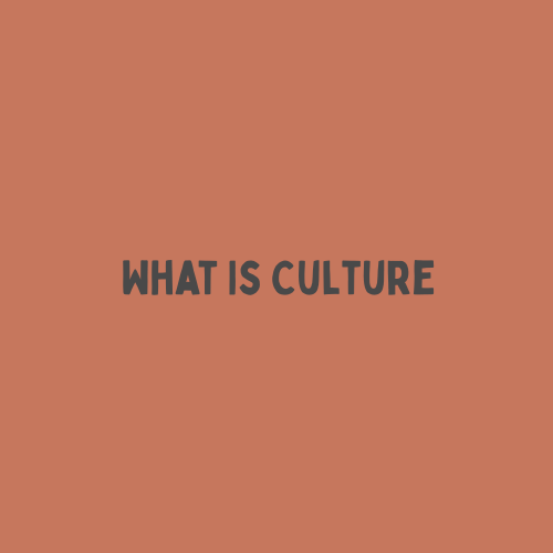 What Is Culture (2021)