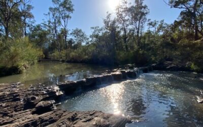 ATSIMA 2027 Conference is heading to Gumbaynggirr