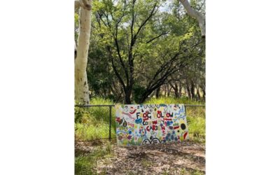 Culture Counts pilot site: Purnululu School, on Gija Country